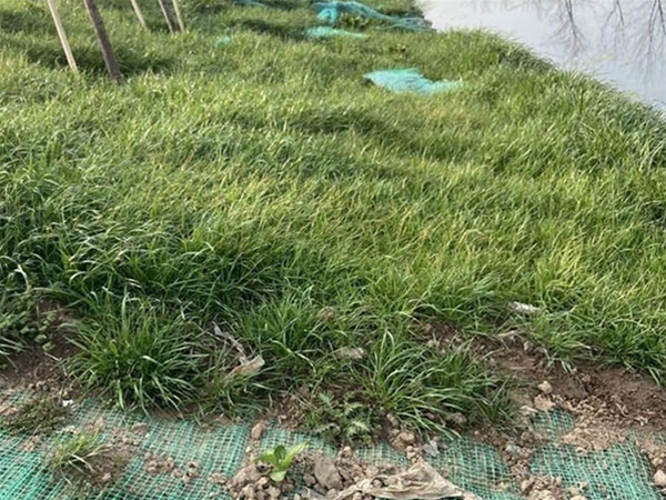 水利護坡工程